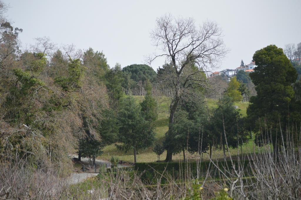 Casa Da Encosta - Quinta Da Costa Hostel วีลาโนวา เจ ฟามาลีเกา ภายนอก รูปภาพ